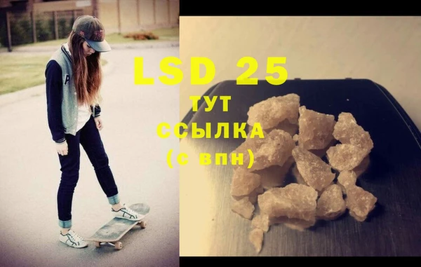 PSILOCYBIN Баксан