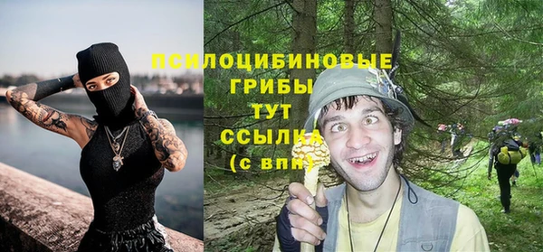PSILOCYBIN Баксан