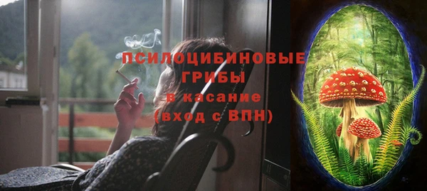 PSILOCYBIN Баксан
