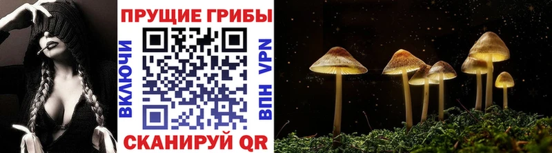 кракен маркетплейс  Тверь  Галлюциногенные грибы ЛСД 